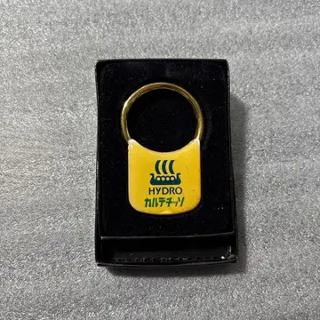 HYDRO 로고 키링 골드 카르데치소 레어? 잡화