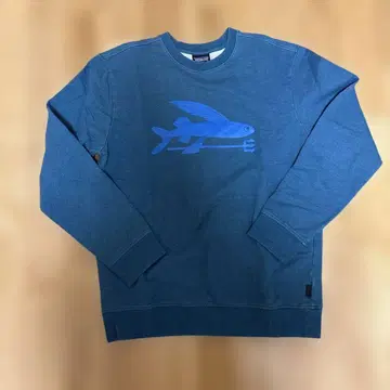 Patagonia 오가닉 코튼 트레이닝복 S