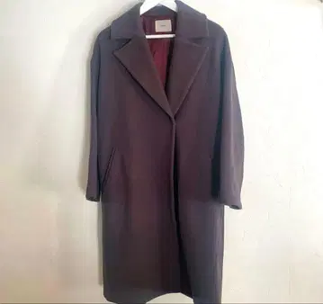 이에나 체스터 코트