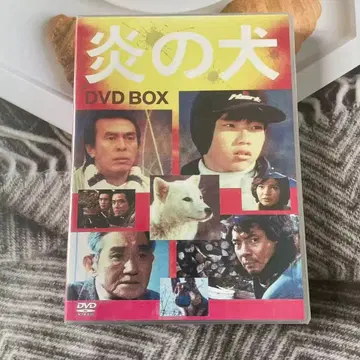 불꽃의 개 DVD-BOX (5장)