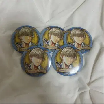 테니스의 왕자님 히요시 와카 캔뱃지