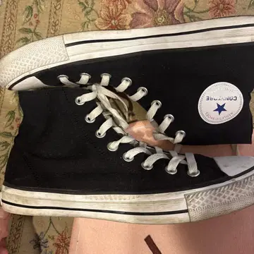 Converse All Star 블랙 하이컷