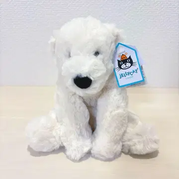 제리캣 북극곰s