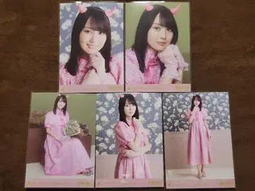 노기자카46 카키 하루카 [할로윈] 브로마이드 5종