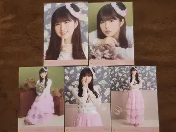 노기자카46 오가와 아야 [ 할로윈 ] 브로마이드 5종