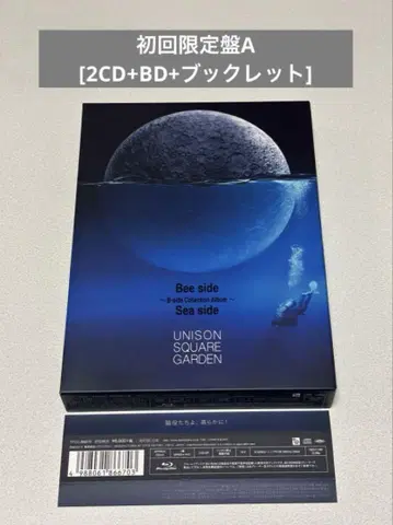 UNISON SQUARE GARDEN Bee side Sea side