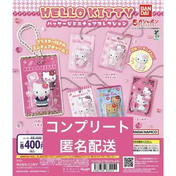 헬로키티 패키지 미니어처 컬렉션