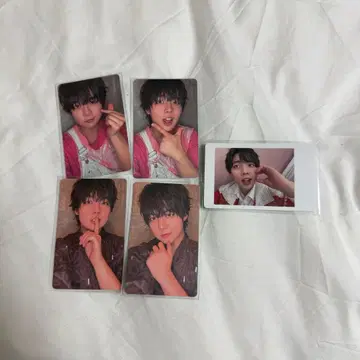 팬더드래곤 파라곤 나기 트레이딩 카드 하피카