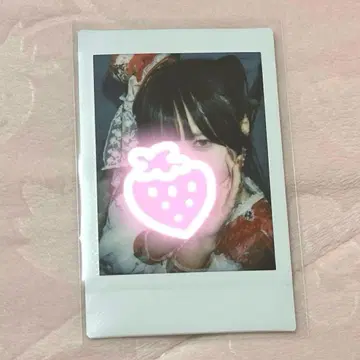 큐르시테 신기루 아뮤 폴라로이드