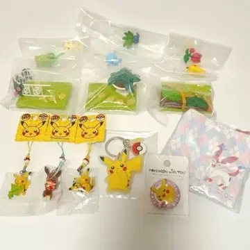 포켓몬 굿즈 모음 포켓몬 가든 키링 스트랩 외