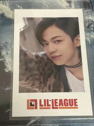 난바 아오조라 폴라로이드