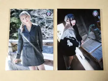 HIBANA 브로마이드 DMM 온라인 크레인 게임 한정판