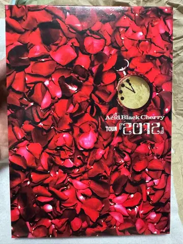 Acid Black Cherry 2012 라이브 DVD 초회 사양판