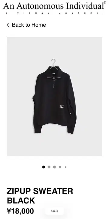 aai 하프 지퍼 맨투맨 beauty&youth