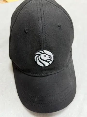 뉴욕 공공 도서관 캡