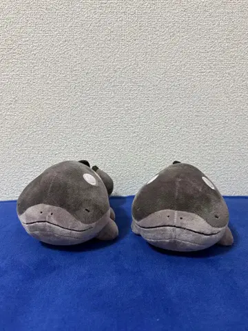 포켓몬스터 포켓몬 편안한 타임 봉제 인형 두오