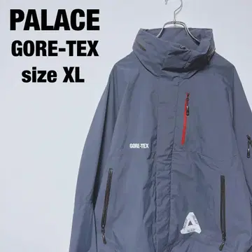 PALACE GORE-TEX 마운틴 후드티 S-TECH JACKET