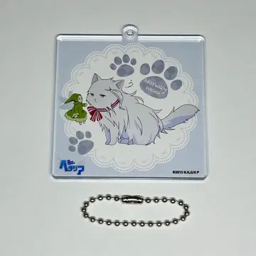 헤타리아 네코타리아 노르웨이