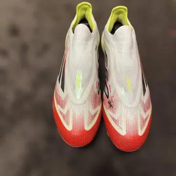 f50 레이스리스 26