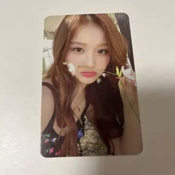 NMIXX 설윤 mixxpedia pick LA 트레이딩 카드