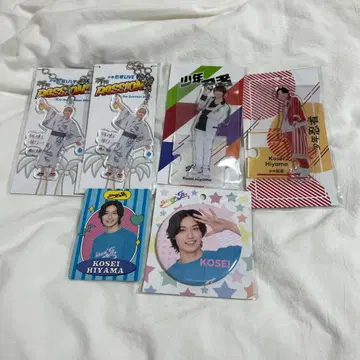 히야마 코세이 캔뱃지 프로필 카드 아크릴 스탠드 아크릴 키링