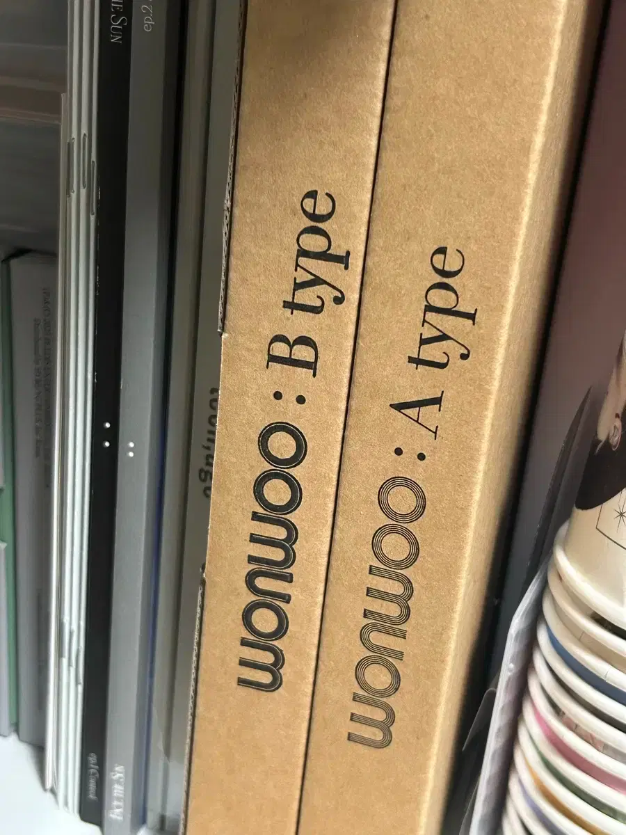 Seventeen wonwoo Dicon A B