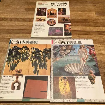 일본 미술사 서양 미술사 서양 회화사 3권 세트