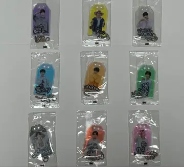 Snow Man 키링 9종 세트 RAYS