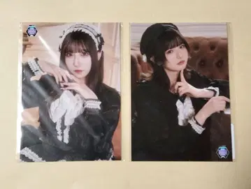 Payrin's 브로마이드 2종 DMM 온라인 크레인 게임 한정판