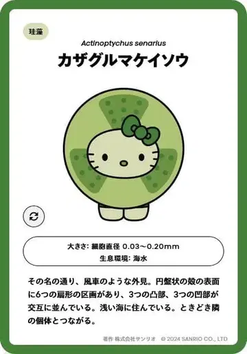 오사카 간사이 박람회 일본관 모키티 핀 배지 바람개비 규조