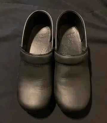 단스코 professional oiled 38