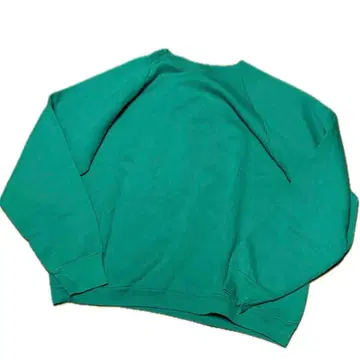 90s FOTL 프룻 오브 더 룸 래글런 트레이닝복 맨투맨 무지