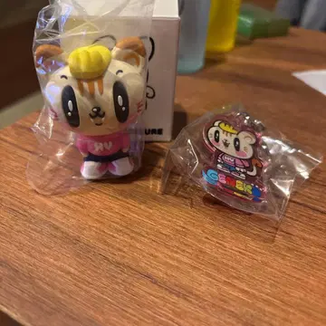 제네고양이 코모리 하야토 군