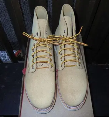 새상품 RED WING 8167 2025년 모델 6인치 클래식 라운드