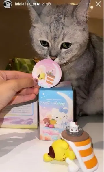 POPMART 산리오 캐릭터즈 Fall Asleep