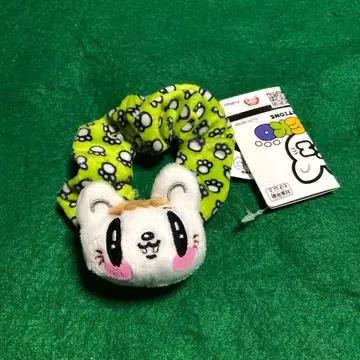 제네 고양이 GENERATIONS 스크런치 사노 레오