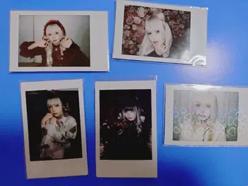 AVAM 츠구미노아 폴라로이드