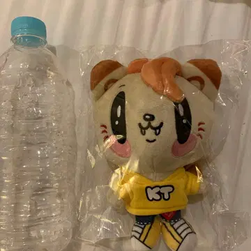 제 고양이 카타요세 료타 봉제 인형