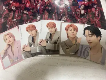 아이돌 포트레이트 사진 5장 세트