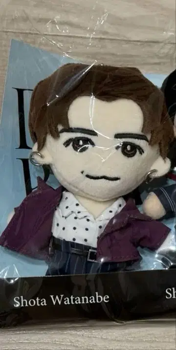 snowman 와타나베 쇼타 봉제 인형 드림보이