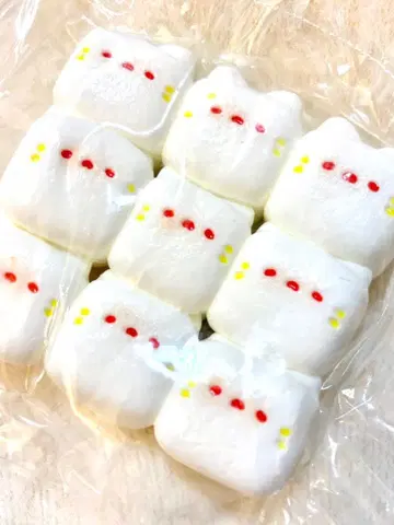 고양이 집합 스퀴즈 타바스코 스퀴즈 쪼물쪼물