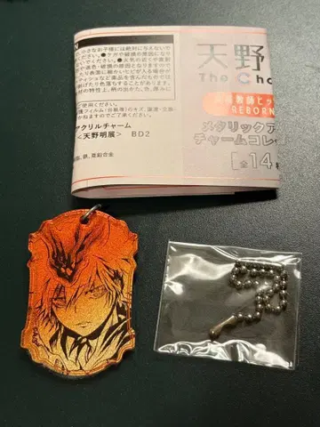 아마노 아키라 전시회 리본 사와다 츠나요시 메탈릭 아크릴 참 컬렉션