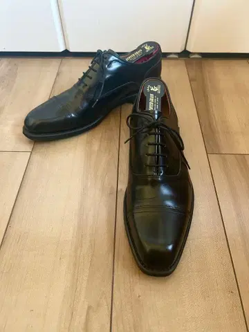 [ 컨디션 최상 ] REGAL 리걸 스트레이트 팁 25cm