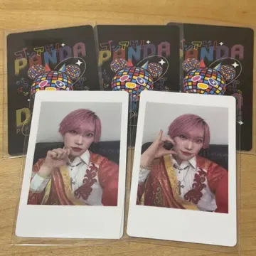 팬더 드래곤 파라곤 하피카 트레이딩 카드 타이거