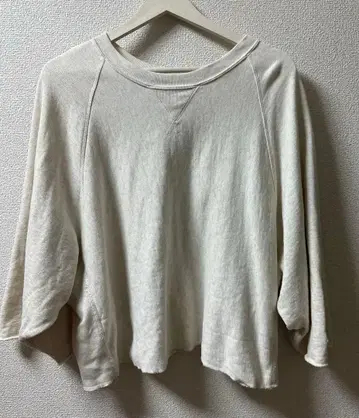 저널 스탠다드 챔피온 레이디 트레이너