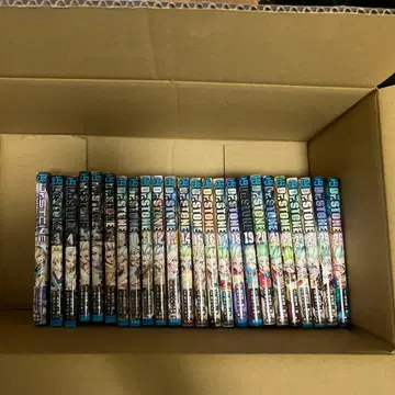 dr.stone 1, 2권을 제외한 전권