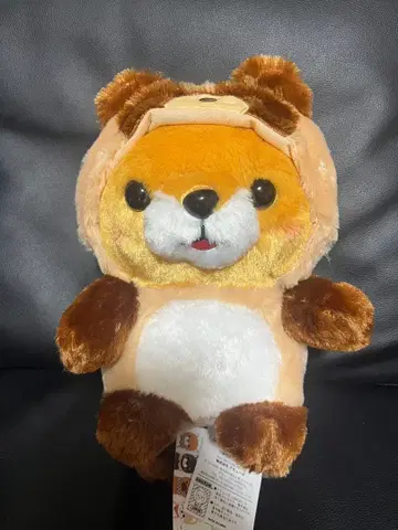 콩시바 삼형제 포테구루미 너구리 봉제 인형 콩사부로