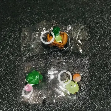 모리조 키콜로 B 운전