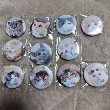 catcafemoff 이온몰 하마마츠 시토로 가챠가챠 캔뱃지