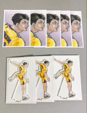 하이큐 우시지마 와카토시 추억 스냅 포토 카드 크로니클 아크릴 피규어